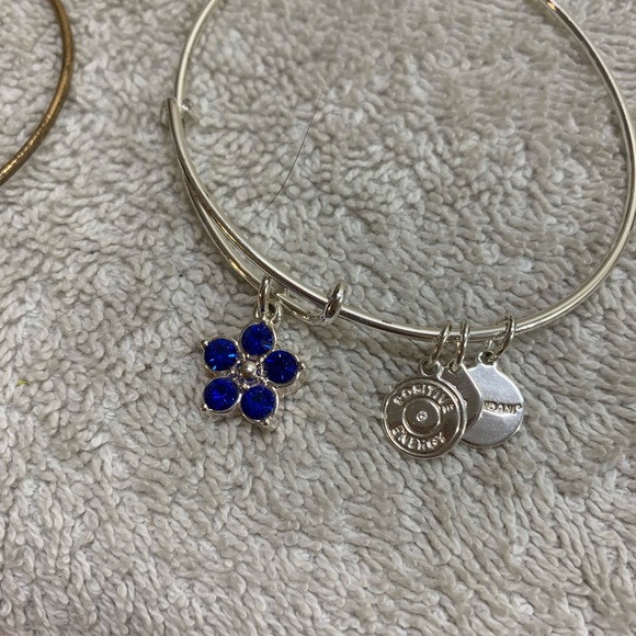 Alex And Ani Lot Of 10 Bangles 1 Cord - Picture 13 of 16